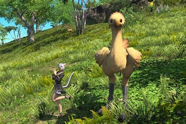 ff14红色大陆行鸟
