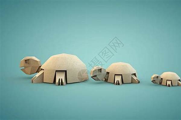 乌龟可以用纸和石头干养吗