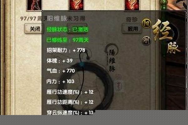 九阴太阴剑诀经脉内功配置