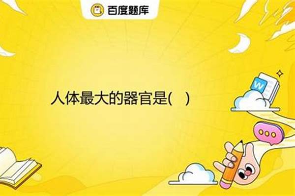 人体最大的器官是什么