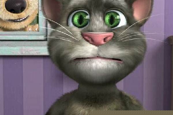会说话的汤姆猫怎么玩新手攻略-我的汤姆猫怎么才能学会人说话
