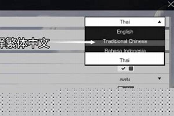 使命召唤16音讯设置