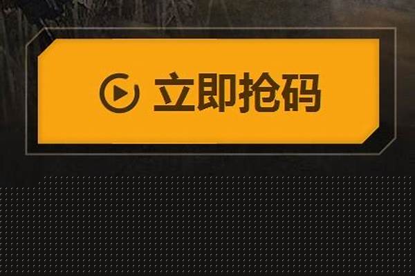 光荣使命激活码购买_光荣使命怎么才可以重新修改身份证信息