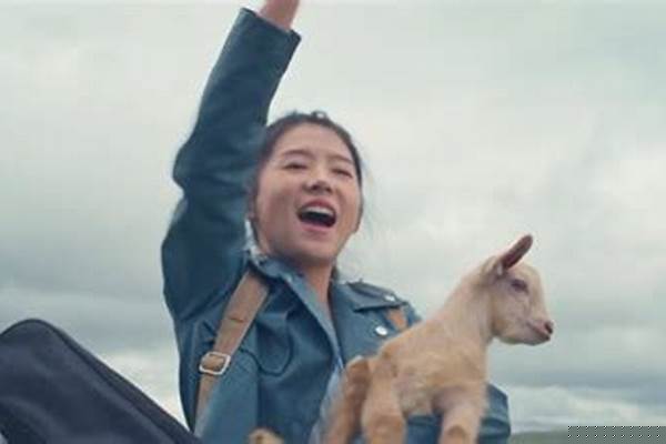 出门在外，哪些事“”地给你上了“一课