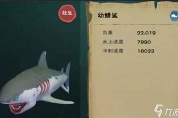 创造与魔法坐骑速度排名