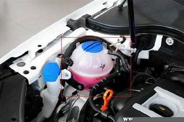副水箱的作用是什么