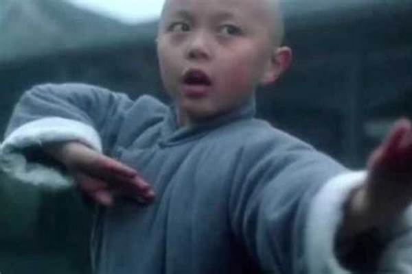 功夫少林演员表_方世玉黄飞鸿霍元甲叶问李小龙功夫都出自少