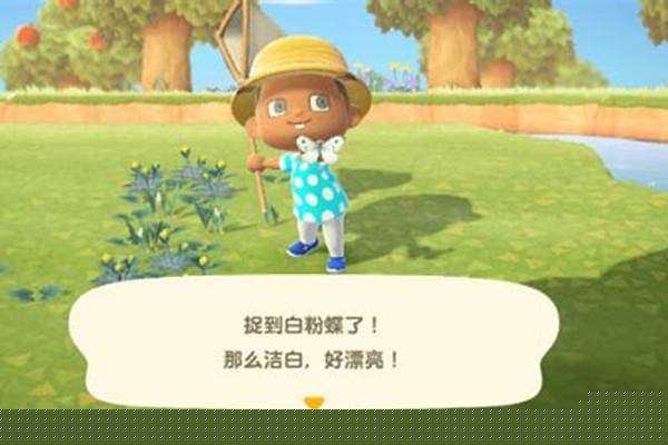 动物森友会捕虫网怎么做