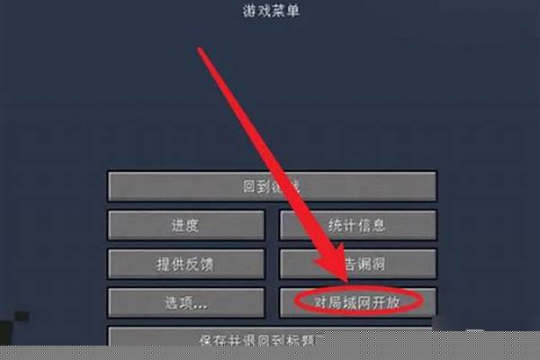 多玩我的世界怎么联机平台_多玩我的世界盒子电脑版肿么朋友联机