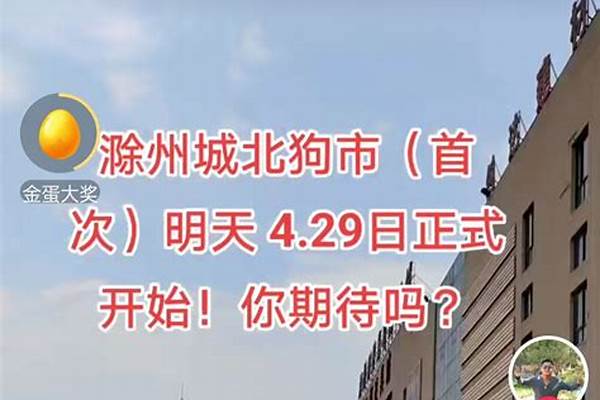 大家分享一下,你们都是在哪里看小说