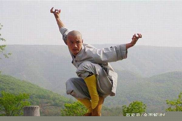 天下武功出少林,那么少林功夫是不是达摩祖