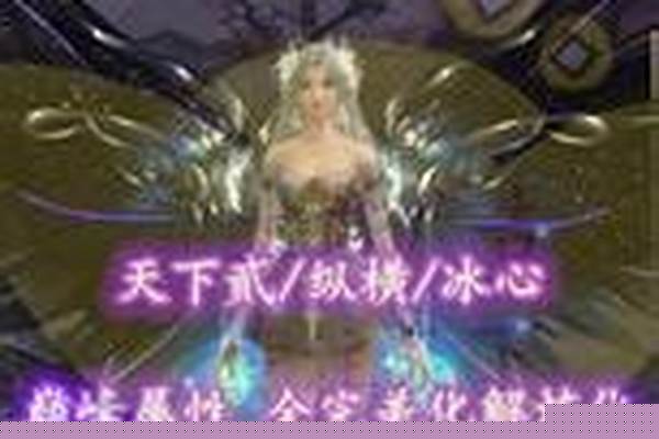 天下贰冰心怎么加属性点