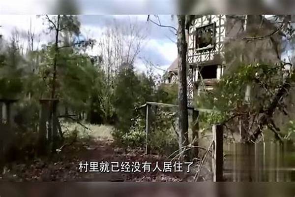 奇怪的村庄某地有两个奇怪的村庄,张庄的人