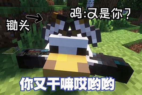 怎么把我的世界里的英文翻译中文_老师the怎么用