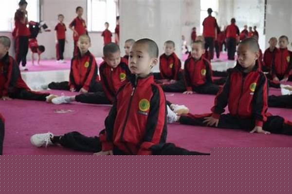 我二十岁了，想学武术，去少林寺好吗