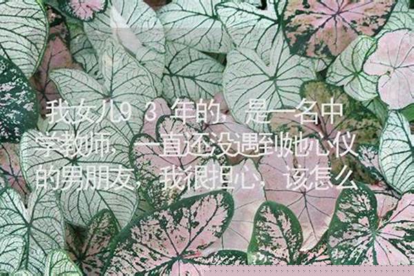 我女儿93年的,都还没男朋友,为了她的事