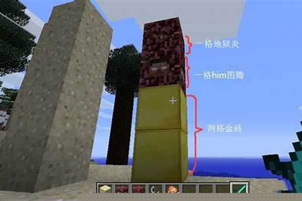 我的世界召唤him的指令是什么