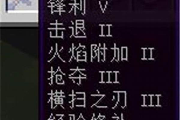 我的世界最强附魔属性的剑_我的世界剑附魔什么属性
