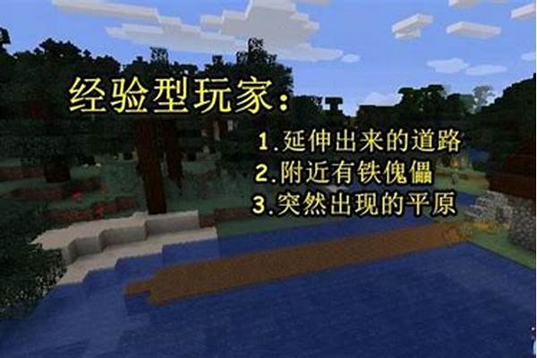 我的世界没有村庄怎么弄_2021我的世界什么位置有村庄