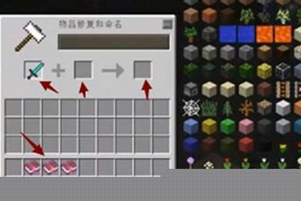 我的世界私皮可以使用吗