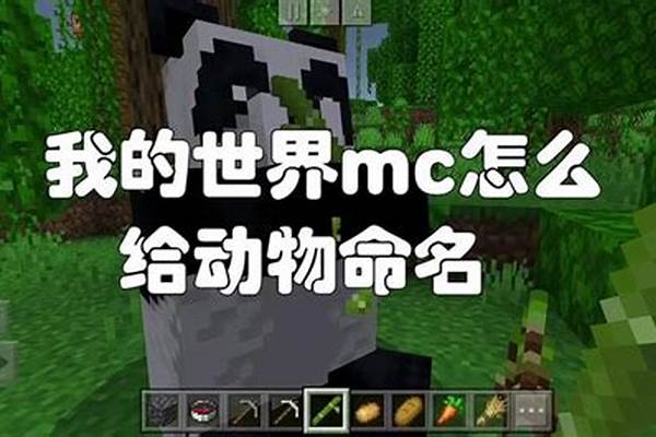 我的世界给动物命名视频教学_能分享一句你特别喜欢的“沙雕”句子吗