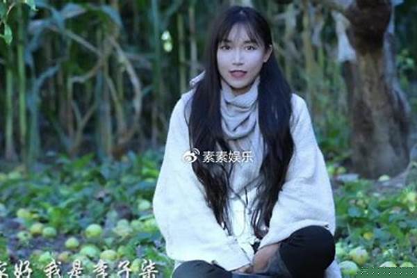 李子柒,一个人的“江湖”,能火多久