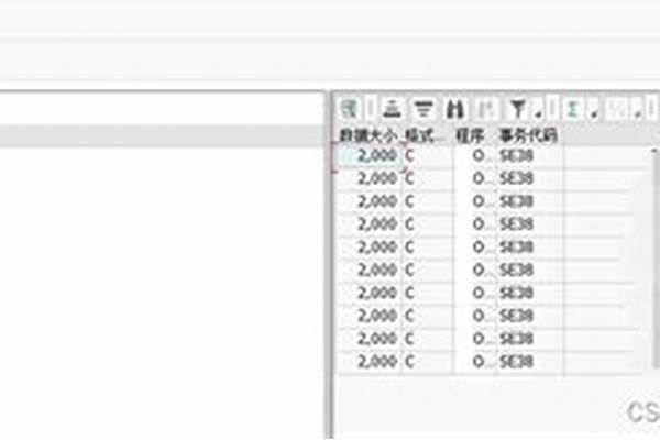 梦泪和梦嫂获“特殊挂”,情侣再次获得加持