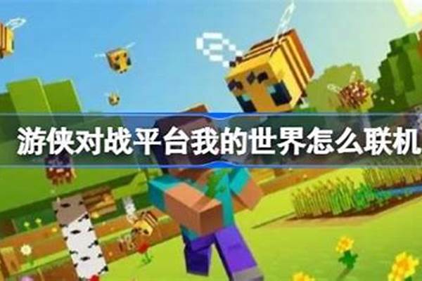 游侠联机我的世界找不到房间_我的世界不在同一个网络下,肿么联机