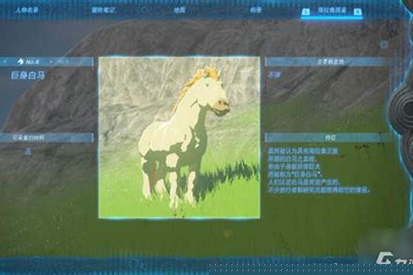 王国之泪白色巨马有什么用