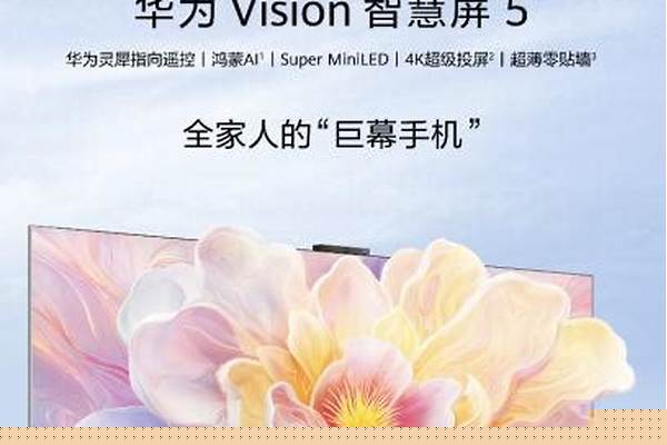 王者的智慧-华为智慧生活oppo手机能用吗