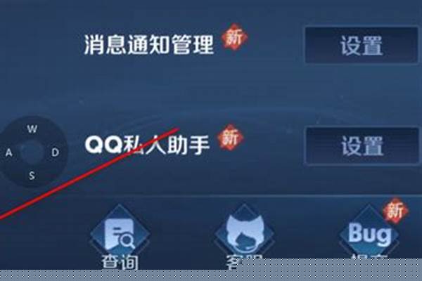 王者荣耀贵族显示关闭在哪里_王者荣耀怎么关闭贵族显示