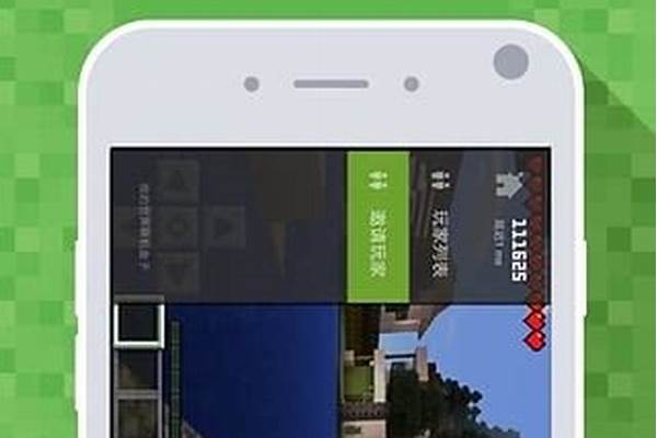 玩我的世界联机的，你们一般用什么玩联机
