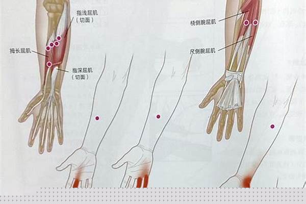 胳膊肘内侧小骨头疼