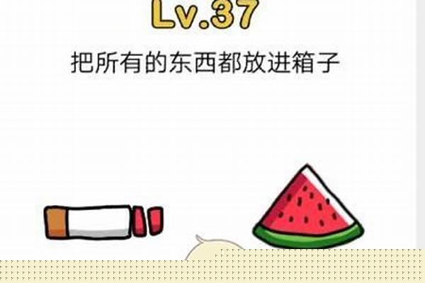 脑洞大师把所有东西放在箱子里