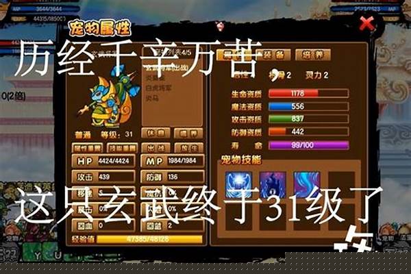 造梦西游3玄武技能搭配_造梦西游3玄武宠物最佳技能
