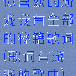 你喜欢的游戏我有全部的秘籍歌词(歌词有游戏的歌曲)