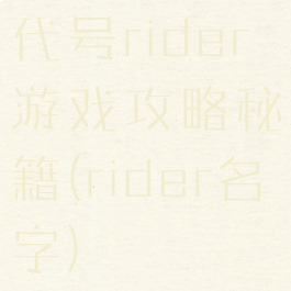 代号rider游戏攻略秘籍(rider名字)