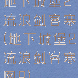 地下城堡2流浪剑客寒(地下城堡2流浪剑客寒图9)