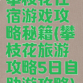 攀枝花住宿游戏攻略秘籍(攀枝花旅游攻略5日自助游攻略)