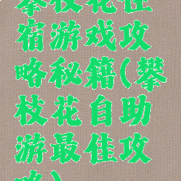 攀枝花住宿游戏攻略秘籍(攀枝花自助游最佳攻略)